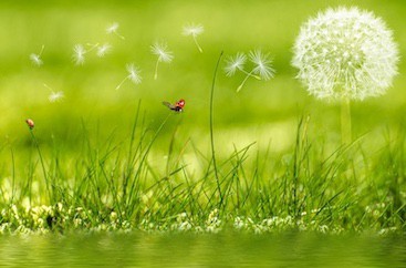 De weg van heling voor jou als vrouw | NOVA Coaching en Training Enschede
