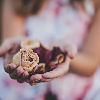 Wombhealing | NOVA Coaching en Training Enschede