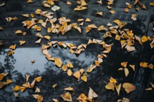 herfstdip