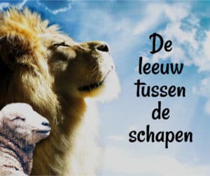 blog leeuw