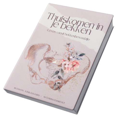E-book Thuiskomen in je bekken