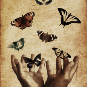 transformatiecoaching